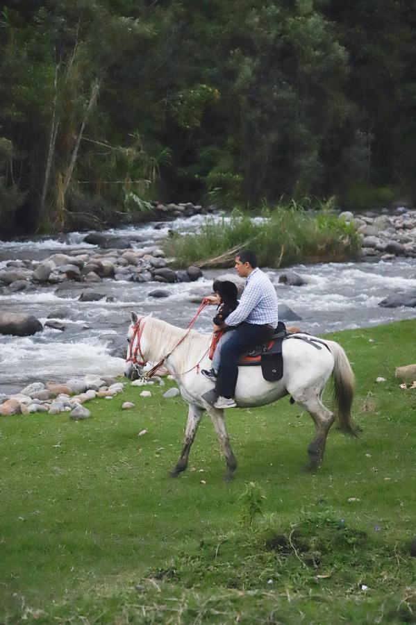 El Rancho De Salento Hotel Bagian luar foto